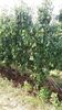 IMG-20220820-WA0049