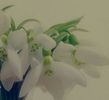 114884388_WDNIKIQ3-1