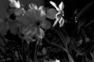 115149551_RFVWHEF-1