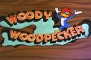 Ciocanitoarea Woody