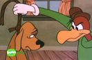 Ciocanitoarea Woody