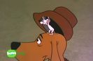 Ciocanitoarea Woody
