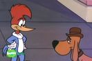 Ciocanitoarea Woody