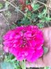 IMG20220825174946