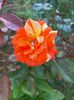 IMG20220825173536