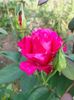 IMG20220825173330