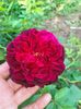 IMG20220825173319
