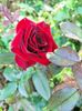 IMG20220825173248