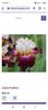 Screenshot_2022-08-08-15-05-43-759_com.android.chrome