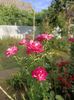 Img.2022.08.01