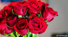 images-1