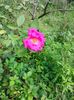 IMG20220830104833