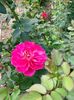 IMG20220830104611