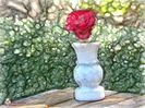 w-Red Rose 2