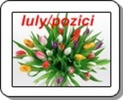 Iulypozici