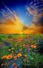 images-6