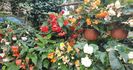 received_605255831142402