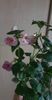 received_2881529988818684