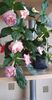 received_480708093908618