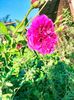 IMG20220907181611