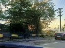 Img.2022.09.04