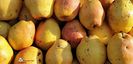 w-Pere-Pears