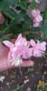 received_653345852586552