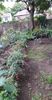 received_1206139666902742