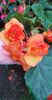 4a68fb83-7eec-4534-9337-3cc67a44151ephoto