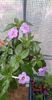 received_1206720126568186