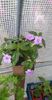 received_625340349151395
