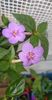 received_625580492315019