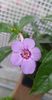 received_473896177940117