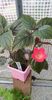 received_398612539102835