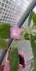 received_1524328238015323