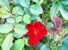 IMG20220908172743
