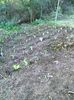 IMG20220907182401