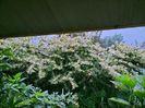 IMG20220906071335
