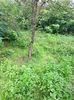 IMG20220905141907