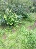 IMG20220905141905