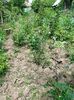 IMG20220820131320