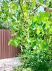 IMG20220820130714