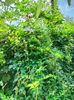 IMG20220820132237