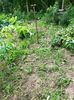 IMG20220820132034