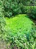 IMG20220820131543