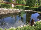 IMG-20210819-WA0034