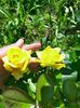 IMG20220914113741