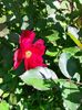 IMG20220914113730