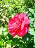 IMG20220914113725