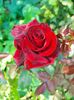 IMG20220912123758